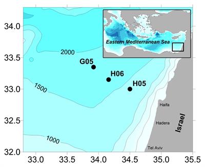 Post-eastern Mediterranean Transient Oxygen Decline in the Deep Waters of the Southeast Mediterranean Sea Supports Weakening of Ventilation Rates